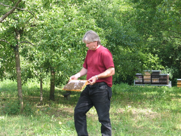 Till mit einem Rahmen mit vielen Bienen