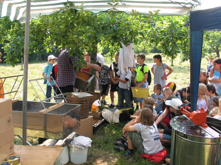 Hier erkl�rt er den Aufbau eines Bienenstocks.