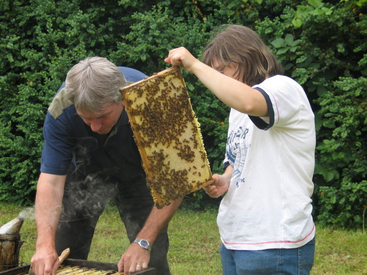 -und staunten, dass die Bienen so friedlich waren