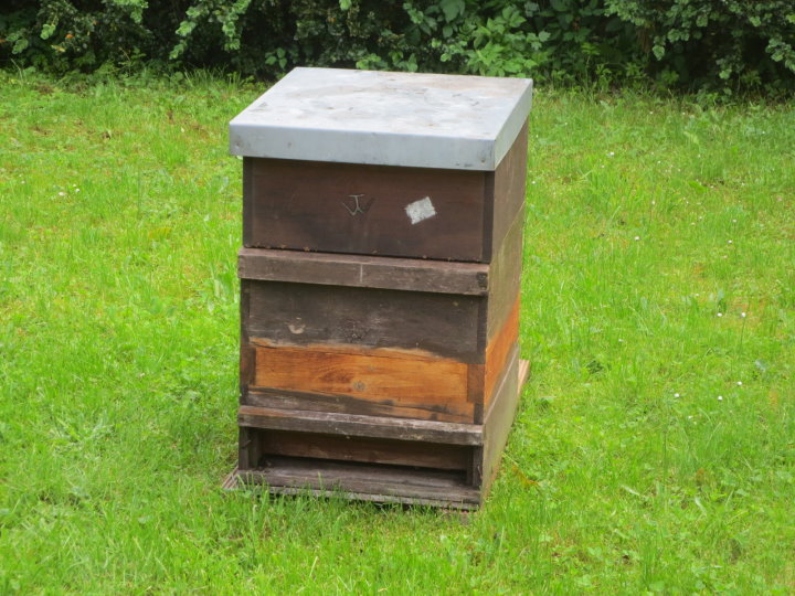 Unser Imkermeister Tillmann Wenzel hatte