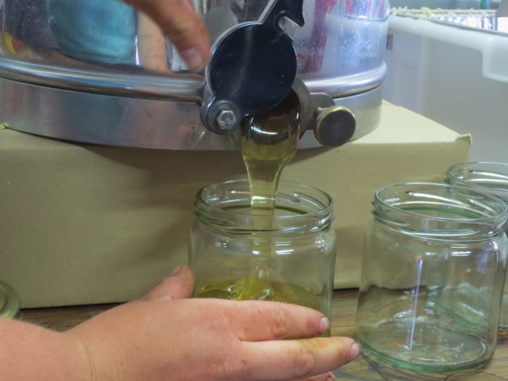 Zum guten Schluss flie�t der geschleuderte Honig in die Gl�ser.&nbsp; 