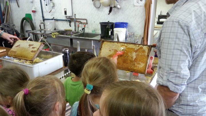 Jetzt wurde der Wachs entfernt und geschleudert.