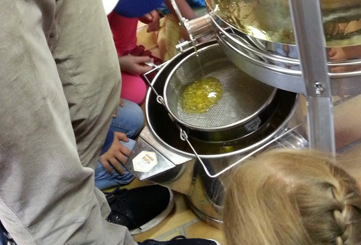 Zum guten Schluss flie�t der geschleuderte Honig �ber ein Sieb in den Beh�lter.