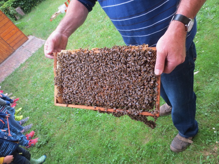 Die Kinder staunten wie friedlich die Bienen waren.