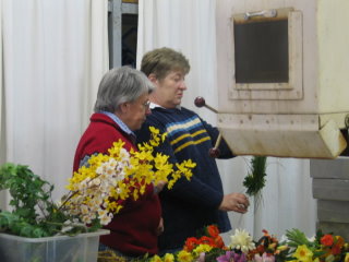 Pr&uuml;fende Blicke