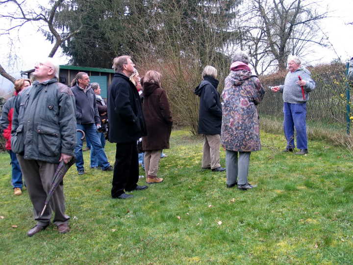 Im Garten Leyes wurde der Schnitt von Haselnuss vorgef�hrt.