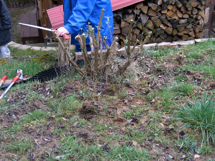 und hier das Ergebnis.