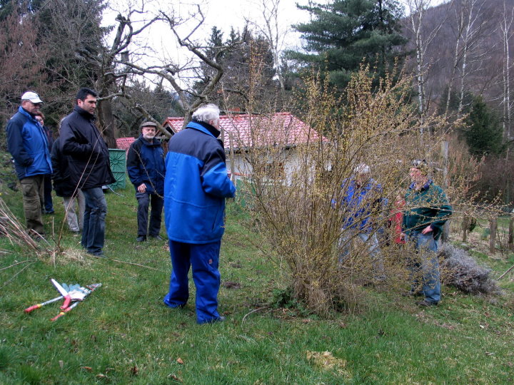 Weitere Schnitt-Techniken