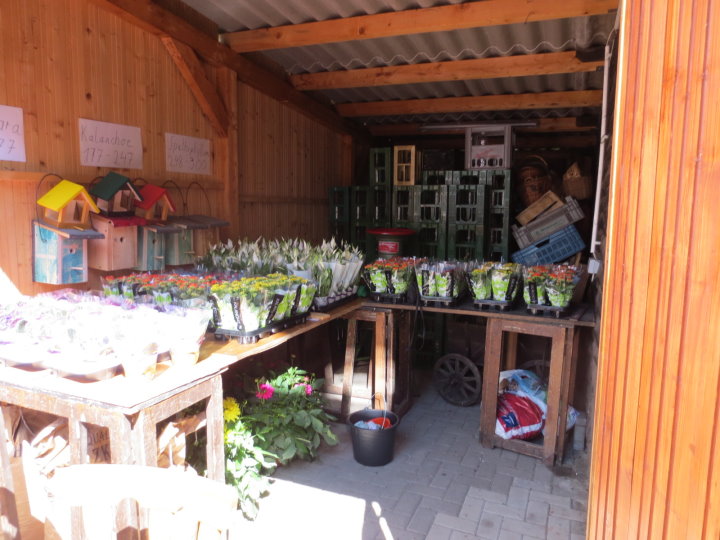 Eine reichhaltige Blumentombola wartet auf die Gewinner