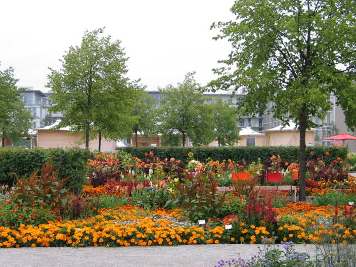 Blumen�..