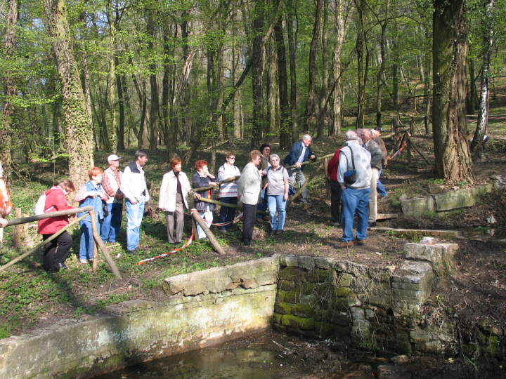 Am Beginn der Wanderung besichtigten wir einen der vier Brunnen des Halbergs.