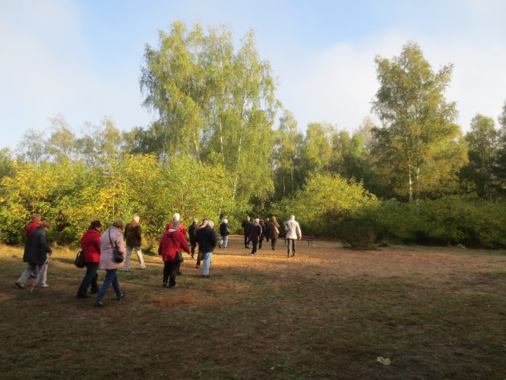 Biotop aus Wald.