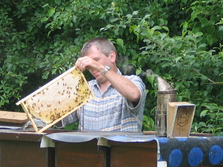 Umgang mit den Bienen