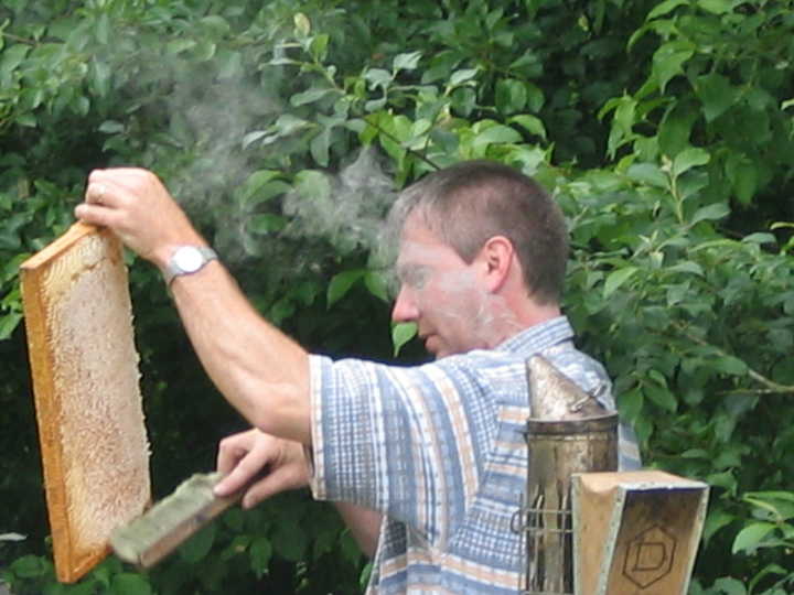 Umgang mit den Bienen