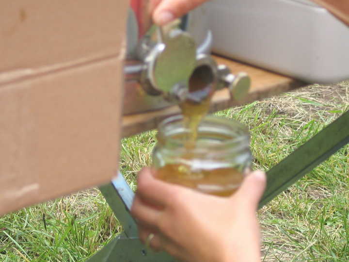 und wird ins Glas abgef�llt
