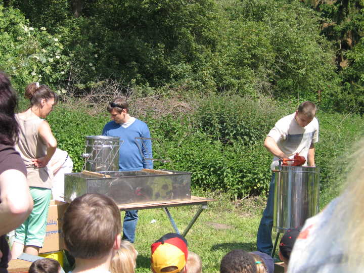 Die Waben werden in die Schleuder eingebracht