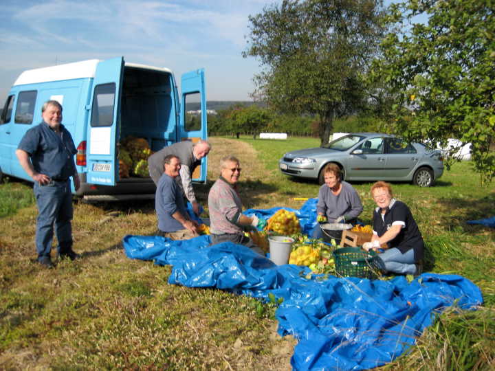 Fr�hliche Rund beim �pfelsammeln