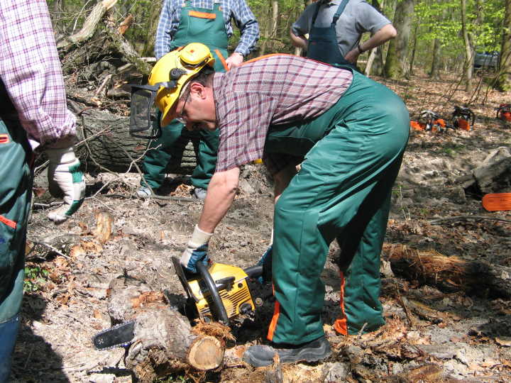 Am Boden liegendes Holz wurde bearbeitet.