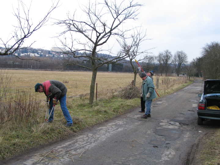 Unterholz wird beseitigt