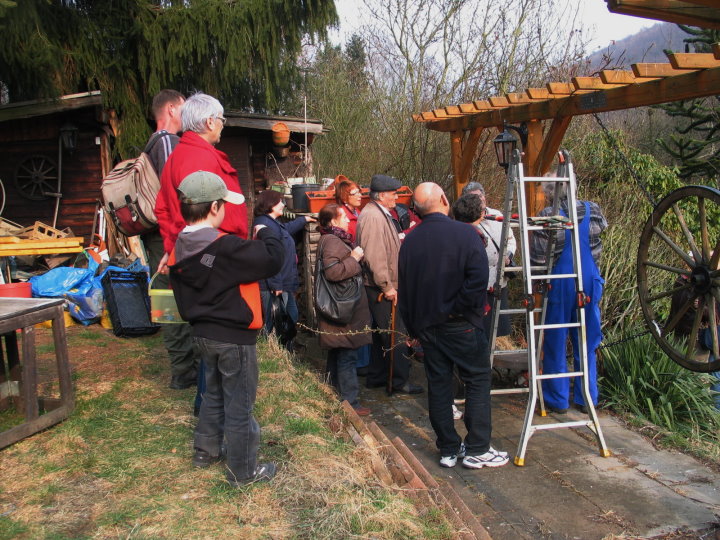 Bei der letzten Station im Garten von Werner Schneider wurde der Rosenschnitt erkl�rt und durchgef�hrt.