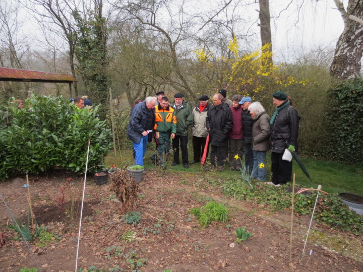 Der Schnittlehrgang startete im Garten des ersten Vorsitzenden.