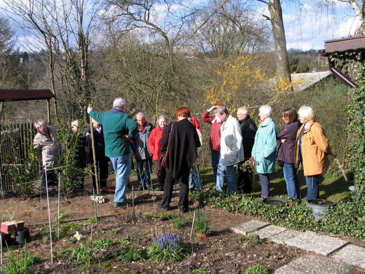 Im Garten des ersten Vorsitzenden konnten die Teilnehmer alles &uuml;ber den Schnitt von Rosen erfahren.