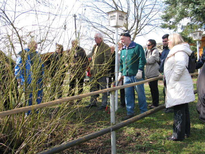 ... �bernahm der zweite Vorsitzende Hans Vogeley und f�hrte mit dem Fachberater Werner Schneider und dem Gartenfachwart Franco Gagliardi den Schnittlehrgang durch.