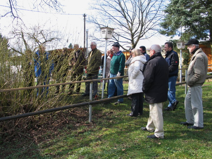 Bei der Grillh�tte wurden die ersten Schnitte durchgef�hrt.